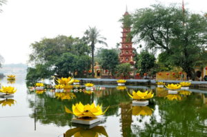 Devant la pagode Trấn Quốc à Hanoï (Vietnam), des fleurs de lotus jaunes artificiels reflétées dans le plan d'eau